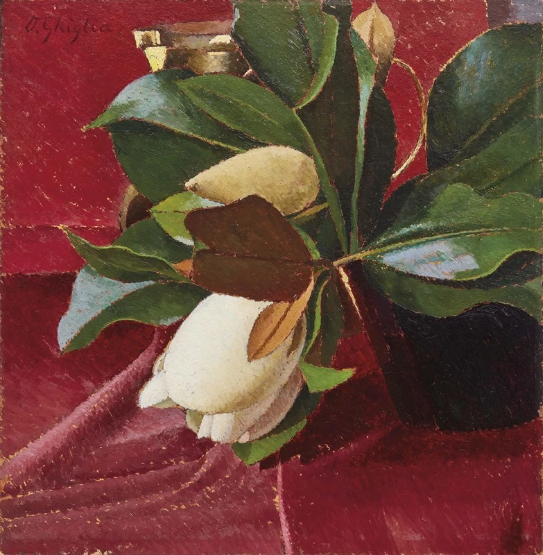 Magnolie